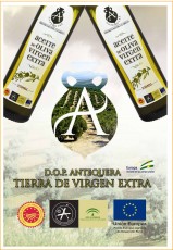 29 x Copia 3 PROG IX Jornadas- Antequera 2018-29.jpg