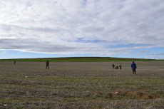 vistas del campo de vuelo.jpg