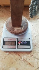 Este es el pollo de 27 días, hembra