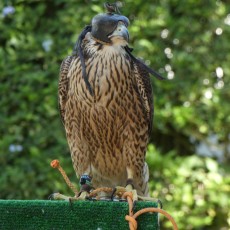 1644950693310 (1).jpg