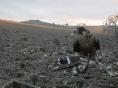 1644950693266 (1).jpg